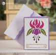 Fuchsia Card SVG