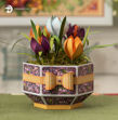 Crocus Planter SVG
