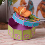 Hibiscus Gift Box With 3D Flower