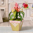 Bromeliad Planter SVG