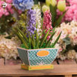 Hyacinth Planter 3D Flowers