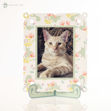 Spring Frame And Easel