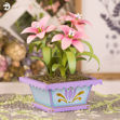 Fairy Lilies SVG