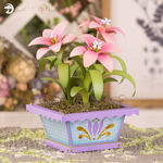 3D Fairy Lily Potted Plant