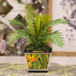 3D Palm Potted Plant