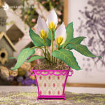 3D Peace Lily Potted Plant