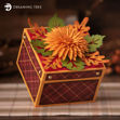 Chrysanthemum Gift Box
