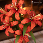Tiger Lily Bouquet
