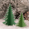 Pine Trees