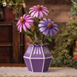 Cone Flowers SVG